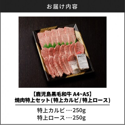 鹿児島黒毛和牛A4～A5 焼肉特上セット カルビ/ロース　K189-007