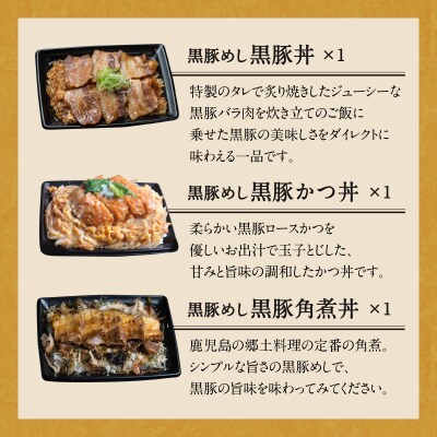 【かごしま黒豚 六白亭】黒豚バラエティピザセット【1】　K163-016