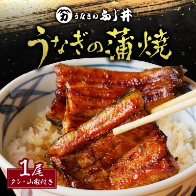 「うなぎのふじ井」うなぎの蒲焼1尾　K250-001