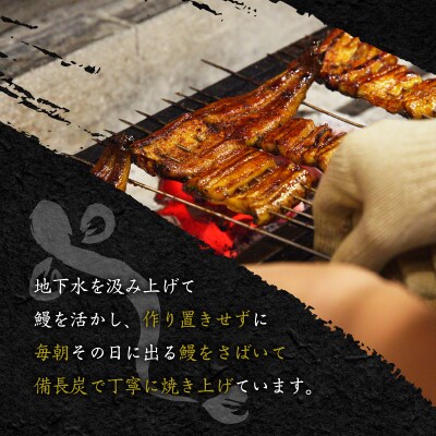 「うなぎのふじ井」うなぎの蒲焼1尾　K250-001