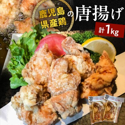 鹿児島県産鶏の唐揚げ　1kg　K199-001_01