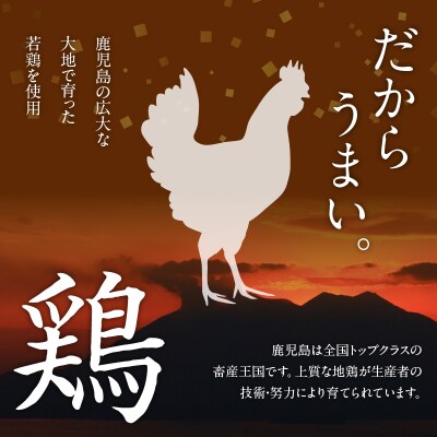 鹿児島県産鶏の唐揚げ　1kg　K199-001_01