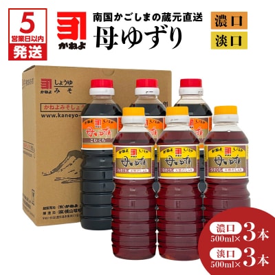 【5営業日以内に発送】蔵元直送 母ゆずり濃口・淡口 500ml×6本　K058-007_03