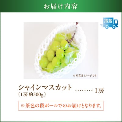 【2026年先行受付】【桜島産】シャインマスカット 1房　K261-001_01