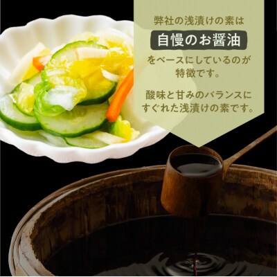 【5営業日以内に発送】浅漬けの素 つけやったもんせ 500ml×6本セット　K026-013