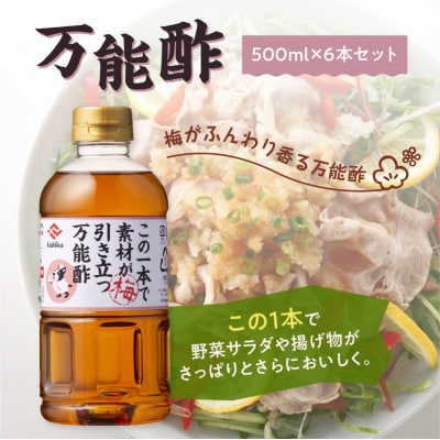 【5営業日以内に発送】ヒシク藤安醸造 万能酢 500ml×6本セット　K026-015