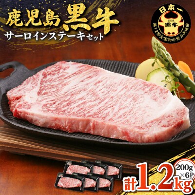 鹿児島黒牛サーロインステーキセット(計1.2kg)　K127-011