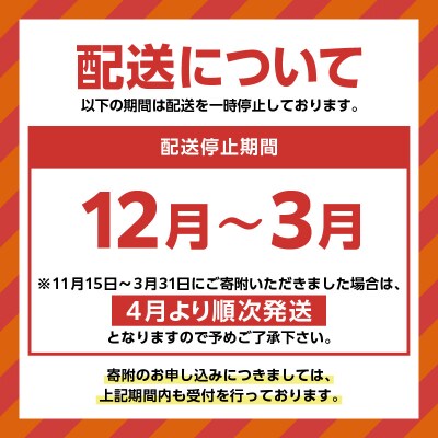 【洋菓子】テリーヌ・ショコラ　K119-002