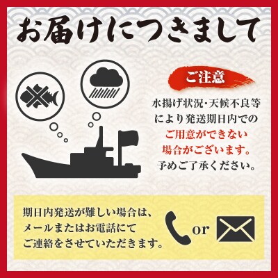 鹿児島産 天然 キハダマグロ 柵 約400g　K100-005