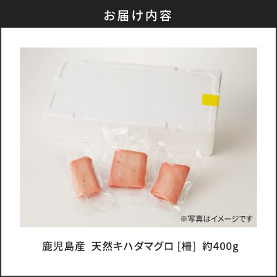 鹿児島産 天然 キハダマグロ 柵 約400g　K100-005