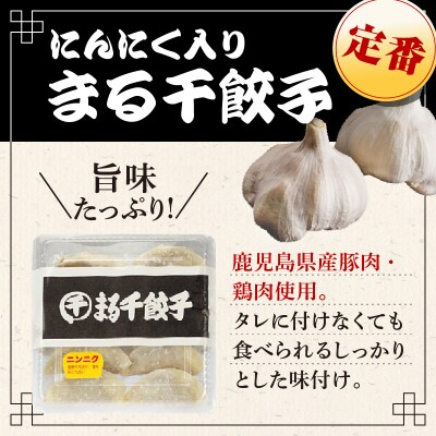 まる千餃子　食べ比べセット　K067-003