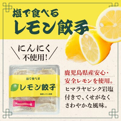 まる千餃子　食べ比べセット　K067-003