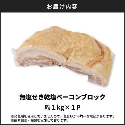 無塩せき乾塩ベーコンブロック　計約1kg　K161-020_01