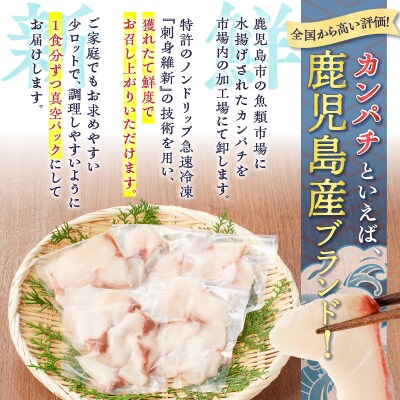 鹿児島産 カンパチ丼 70g×5セット　K100-007