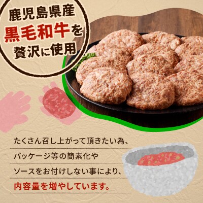 鹿児島県産黒毛和牛入り　ハンバーグステーキ　K277-001
