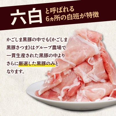 【全3回】かごしま黒豚さつま切落し　1.6kg　K287-T02
