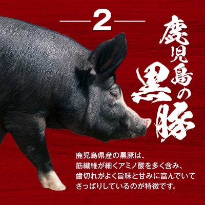 【14営業日以内に発送】 鹿児島県産 黒豚フランクフルト 1.5kg　K025-002_02