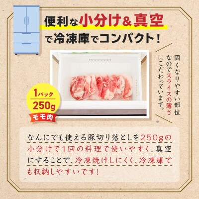 鹿児島県産 豚切り落とし 250g×8パック 計2kg　K151-003