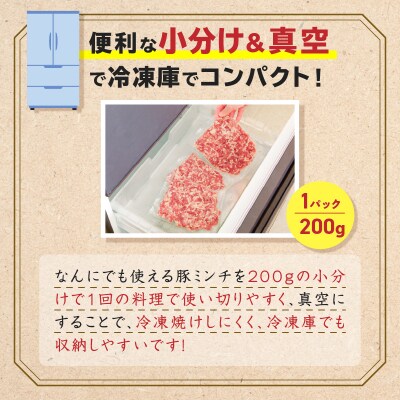鹿児島県産 豚ミンチ 200g×3パック 計600g　K151-002