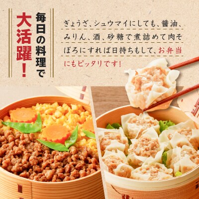鹿児島県産 豚ミンチ 200g×3パック 計600g　K151-002