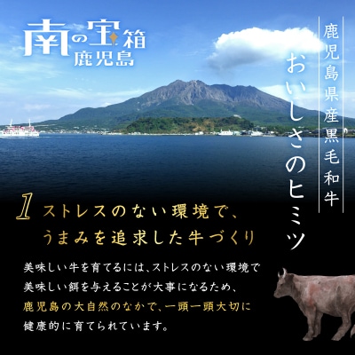 鹿児島県産 黒毛和牛スライス(ブリスケット)500g　K151-001