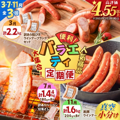 【全3回】バラエティ定期便(3・7・11月お届け)　K161-T05