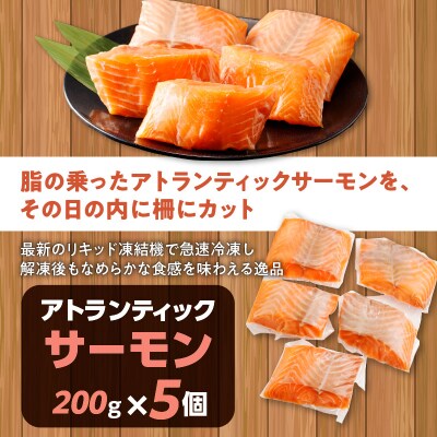 アトランティックサーモン 1kg　K008-009