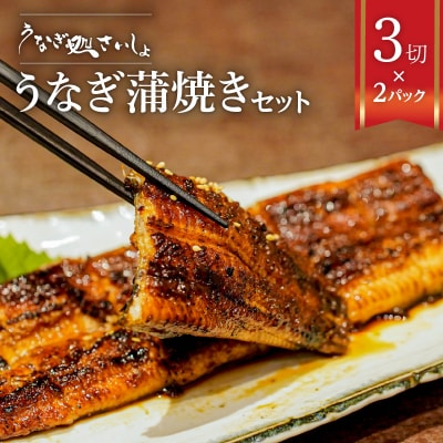 「うなぎ処　さいしょ」うなぎの蒲焼セット 3切×2パック　K030-001