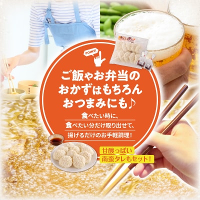 鹿児島県産サクサクチキン南蛮10枚入×2袋(タレ付) K219-003