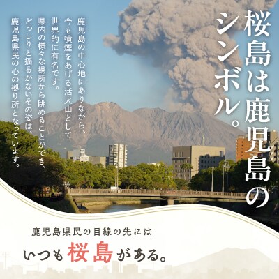 大島紬の布絵 桜島(大) 手作り 一点物　K271-001_02