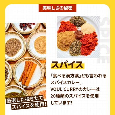 冷凍VOULチキンカレー6食セット　K315-002