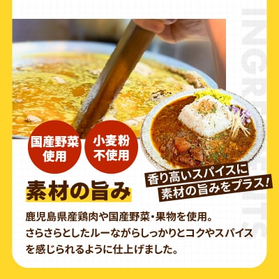 冷凍VOULチキンカレー6食セット　K315-002