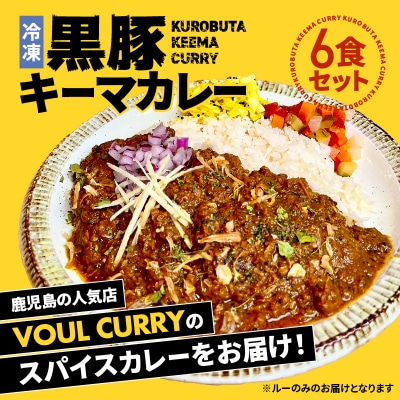 冷凍黒豚キーマカレー6食セット　K315-001