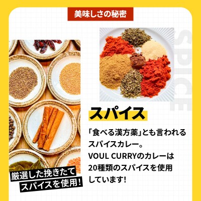 冷凍黒豚キーマカレー6食セット　K315-001