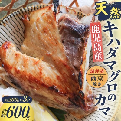 鹿児島産 天然 キハダマグロのカマ約200g×3P 調理済 (西京焼き)　K100-012_02