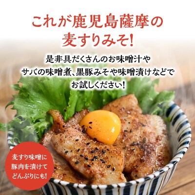 【5営業日以内に発送】ヒシク藤安醸造 麦すりみそ 1kg×3袋　K026-018