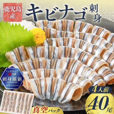 鹿児島産 キビナゴ刺身 40尾 4人前　K100-010