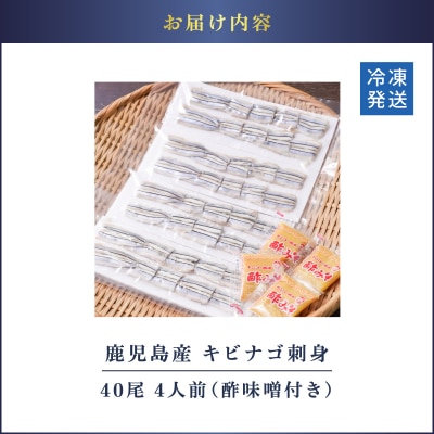 鹿児島産 キビナゴ刺身 40尾 4人前　K100-010