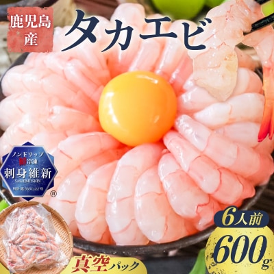 鹿児島産 タカエビ600g 6人前　K100-011