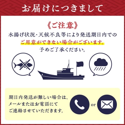 鹿児島産 タカエビ600g 6人前　K100-011