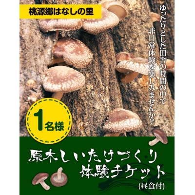 原木しいたけづくり体験チケット(昼食付) 1名様《30日以内に出荷予定(土日祝除く)》