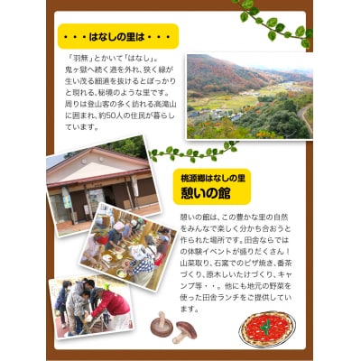 原木しいたけづくり体験チケット(昼食付) 1名様《30日以内に出荷予定(土日祝除く)》