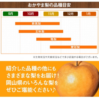 秀品 岡山県産 旬の 梨 約2.5kg 2~6玉前後 梨《9月上旬-1月末頃出荷》