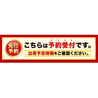 【先行予約】やかげのいちごギフトセット(さがほのか・章姫)約1kg《2027年1月中旬-2月末出荷》