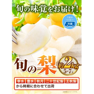 梨 幸水 豊水 約2kg 5~7玉 青空市きらり《8月中旬から12月中旬頃に順次出荷》