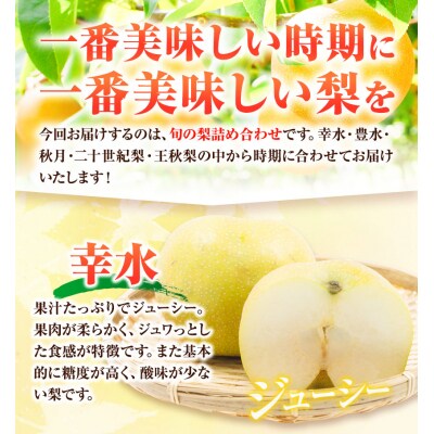梨 幸水 豊水 約2kg 5~7玉 青空市きらり《8月中旬から12月中旬頃に順次出荷》
