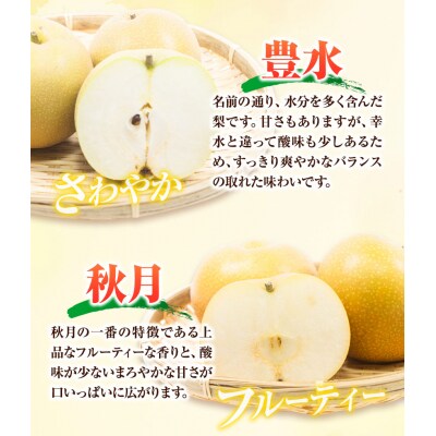 梨 幸水 豊水 約2kg 5~7玉 青空市きらり《8月中旬から12月中旬頃に順次出荷》