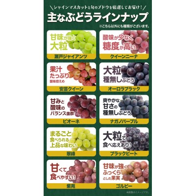 ぶどう 詰め合わせ 約2kg(3~4房) 青空市きらり《9月上旬-11月上旬頃出荷》