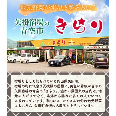 【6ヶ月定期便】旬の新鮮野菜詰合わせセット野菜5～10品目《お申込み月の翌月から出荷開始》