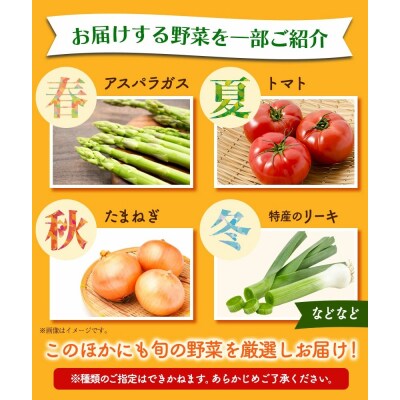 【6ヶ月定期便】旬の新鮮野菜詰合わせセット野菜5～10品目《お申込み月の翌月から出荷開始》